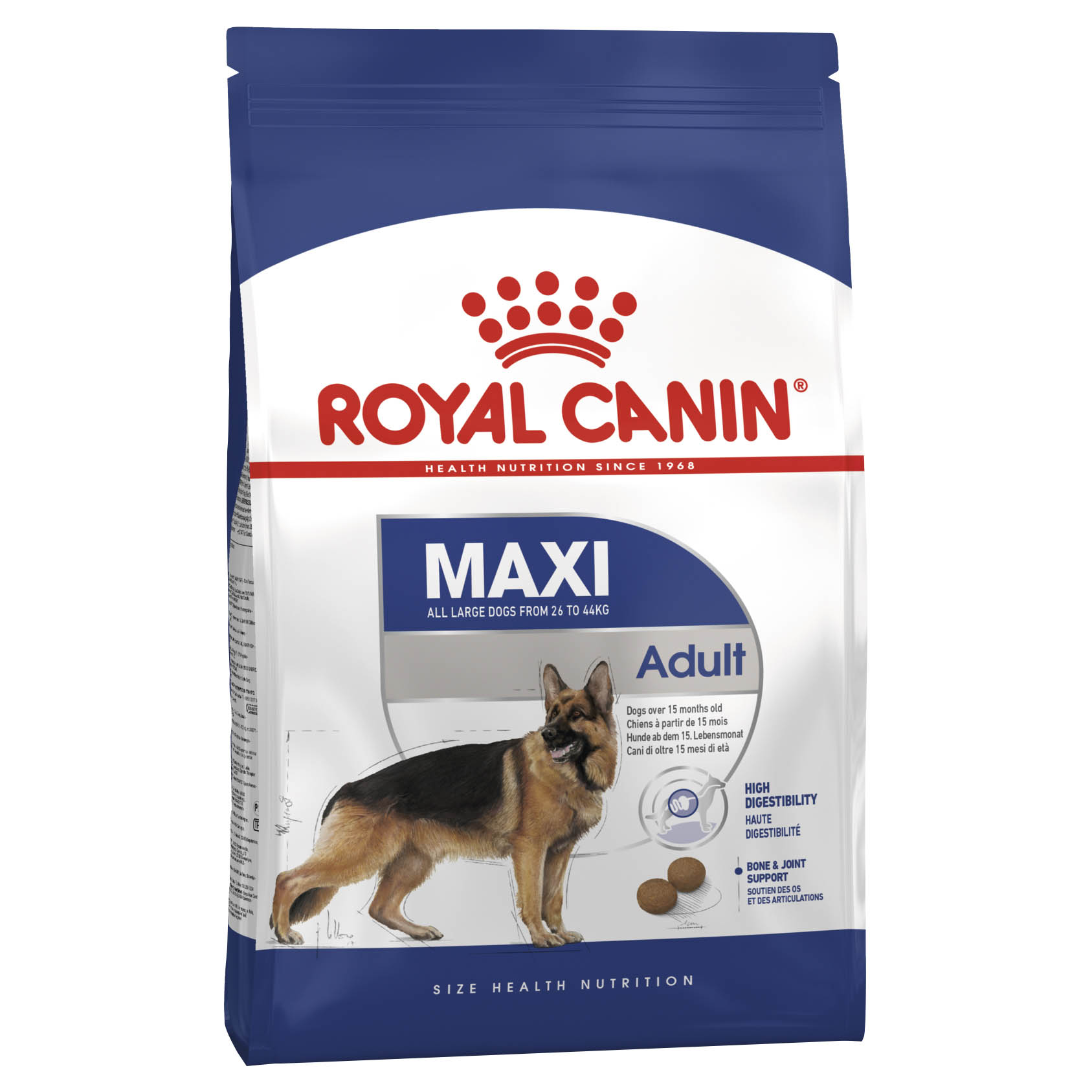 A Royal Canin Maxi Adult bag on a plain white background.