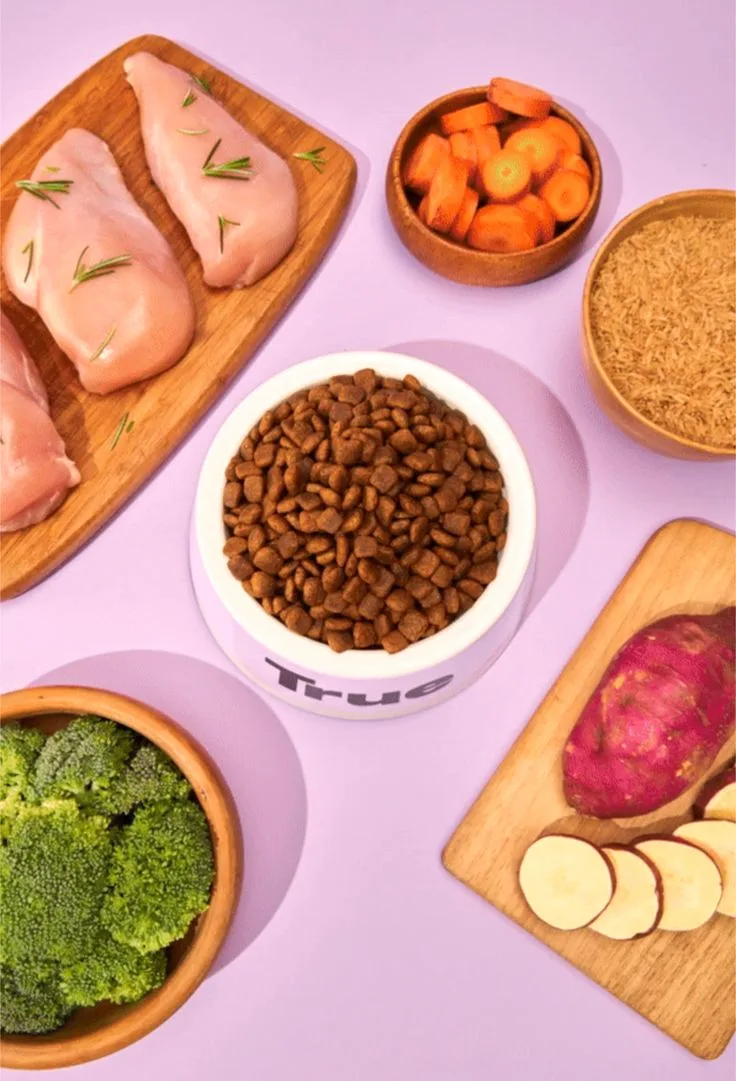 Raw chicken breast on a wooden board, sliced carrots, brown rice, broccoli and sweet potato arranged around a white bowl of dry kibble.