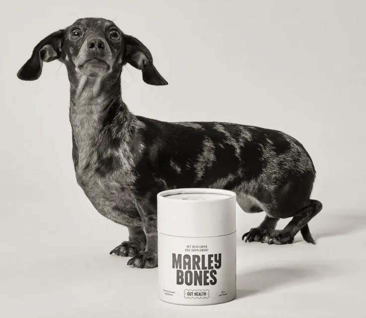 Frontier Pets dog food