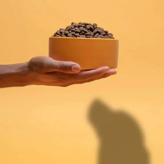 A hand holding a terracotta bowl of dry kibble against a yellow wall, with the shadow of a dog cast below it.