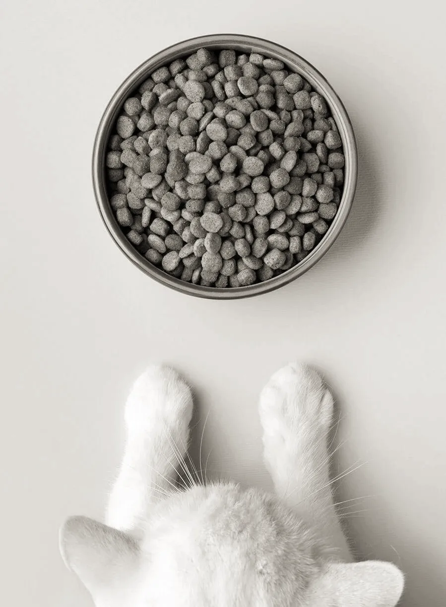 Frontier Pets dog food