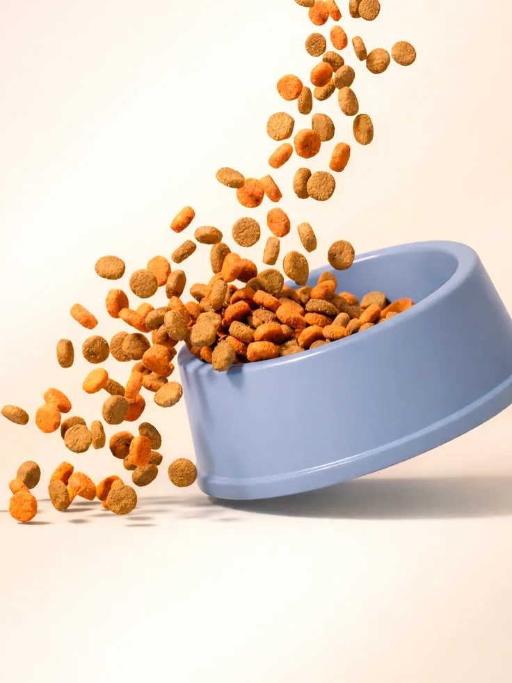 Dry kibble pouring into a pale blue ceramic bowl tipped on its side, against a warm cream background.