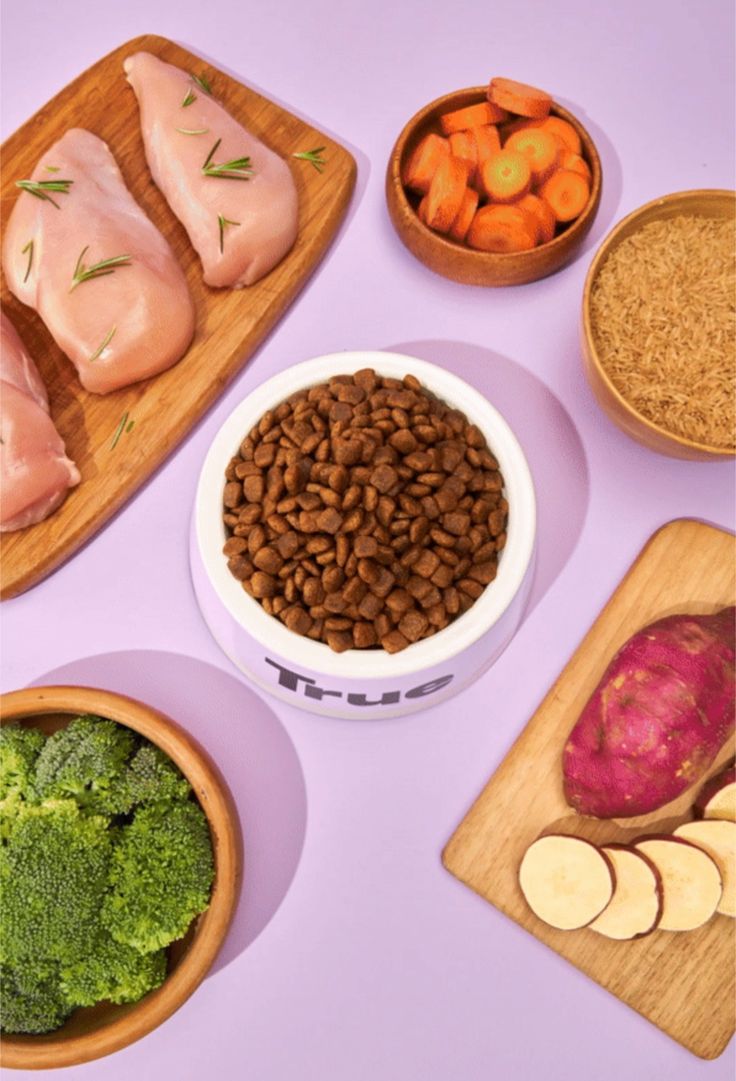 Fresh dog food ingredients laid flat — whole chicken, vegetables and grains, illustrating the real-world factors our scoring captures